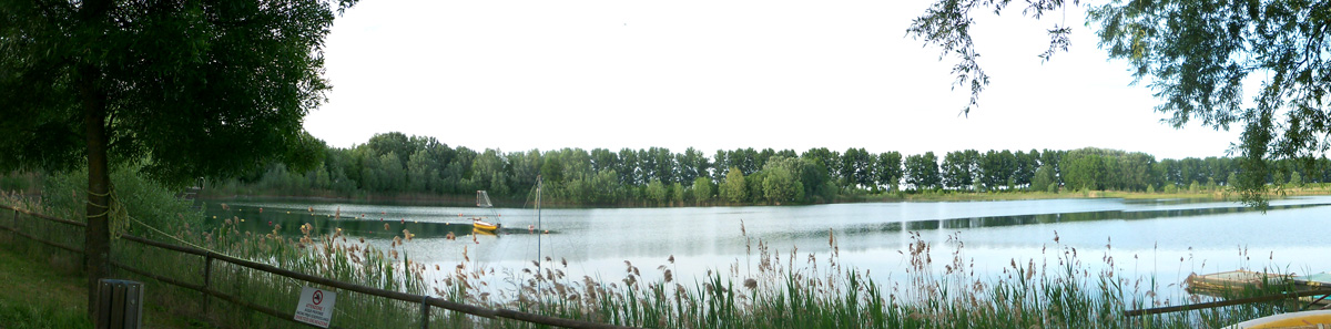 oasi